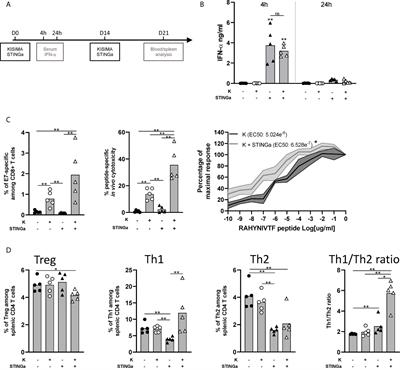 STING Agonist Combined to a Protein-Based Cancer Vaccine Potentiates Peripheral and Intra-Tumoral T Cell Immunity